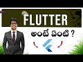 What is Flutter in Telugu?