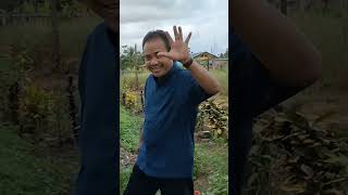 Kunjungan Wakil Visitator