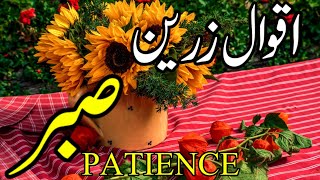 Patiencesabar Quotes In Urduaqwal E Zareenalfaz Ka Kamal