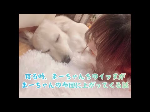 『もうまさきに、あまぁあまぁ(甘々)なの🥰』【モーニング娘。'21 佐藤優樹】