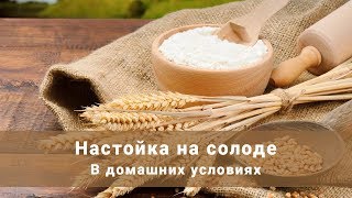 Настойка на солоде в домашних условиях. Простой рецепт