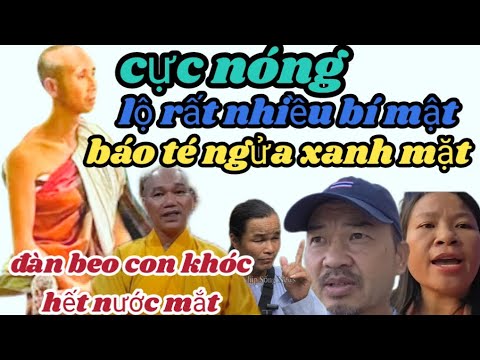 Quá căng báo và đàn beo con nghe được tin này chỉ độn thổ té ngửa khóc ...