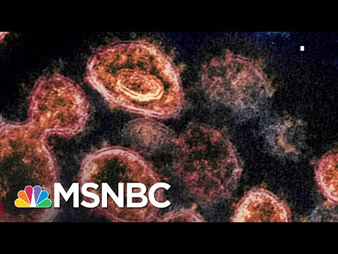 Redlener: Trump Is 'Pathologically Disconnected From Reality' On Covid | The 11th Hour | MSNBC