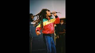 Bob Marley & The Wailers - Live At The Civic Auditorium, Santa Cruz, CA, U.S.A (2/12/1979)