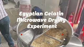 2024 Gelatin Microwave Drying Machine Edible Gelatin Microwave Sterilization Equipment