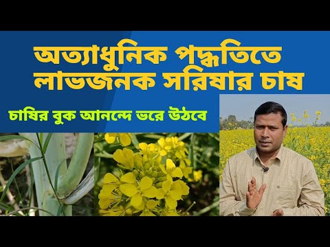 ভিডিও: শস্য চাষ কোথায় অনুশীলন করা হয়?