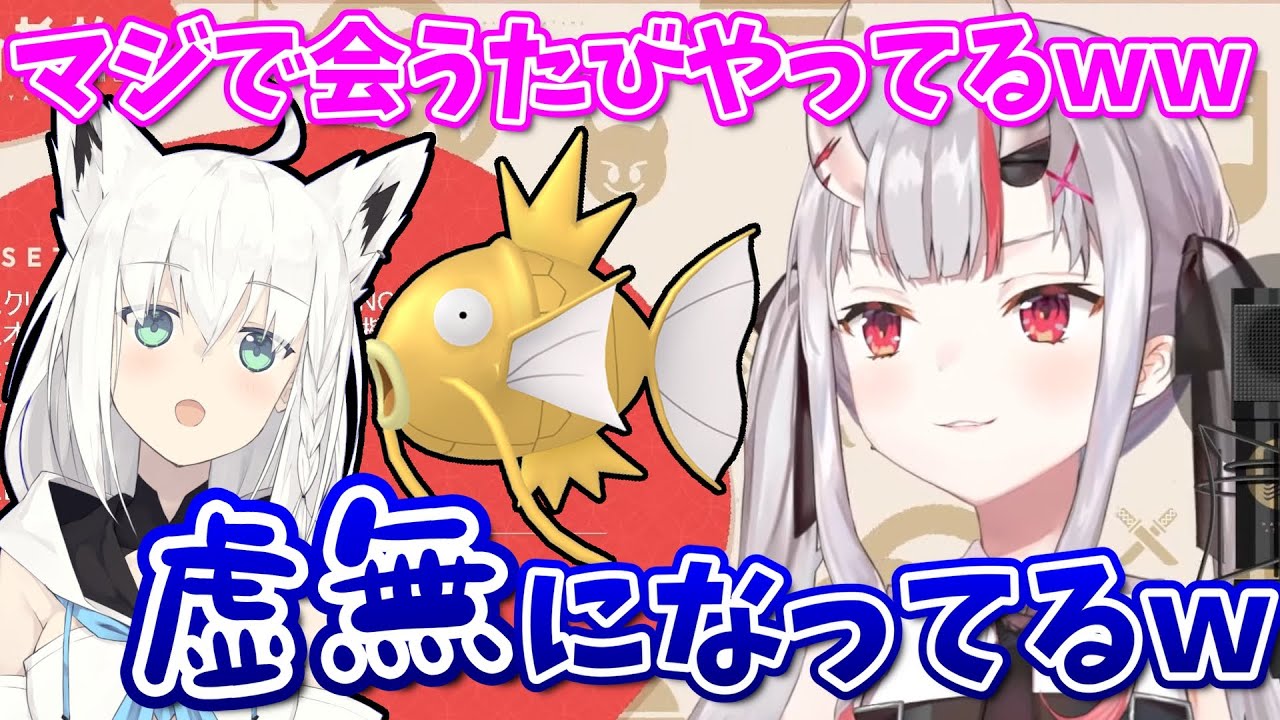 ホロライブ切り抜き お嬢の前でも隙あらば金コイキングを狙うフブキ ポケモン 百鬼あやめ 白上フブキ Youtube