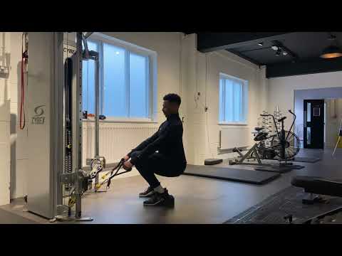 Cable Hack Squat | Exercise Video Library