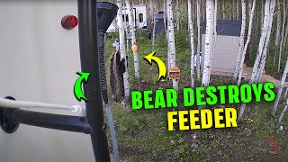Bears Raid Bird Feeder at RV Campsite