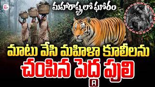పులి దాడిలో నలుగురు మహిళలు | Four Women K_illed in Tiger Attack in Maharashtra | SumanTV Sai