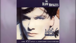 The Blow Monkeys  It Doesnt Have To Be This Way 1987  Vcfm Channel
