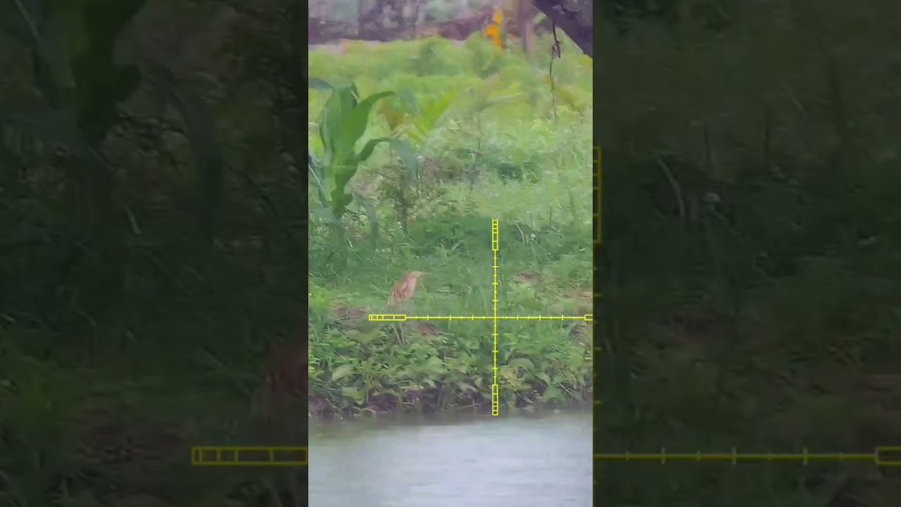 jatuh di mana pak ketua