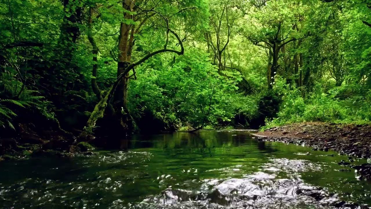 Crystal Clear Water Sounds | Relaxation & Deep Brain Therapy