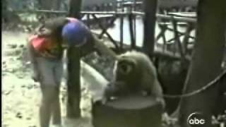 monkey asks girl to scratch its head