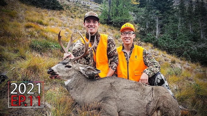 Into the High Country - Washington Backcountry Mule Deer Hunt | 2021 Hunting Season EP.11