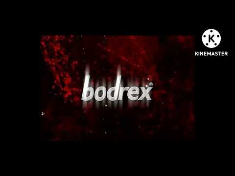 bodrex logo history