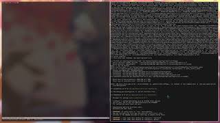 J'ai rice un setup PURO linux !