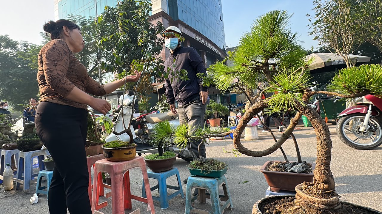 CỦ GỪNG ĐẮT NHẤT VIỆT NAM - KHÁCH VÂY KÍN MUỘI HỒNG CỦA CHỊ LIÊN