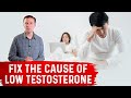 What Causes Low Testosterone & Tips To Increase Testosterone Levels By Dr.Berg