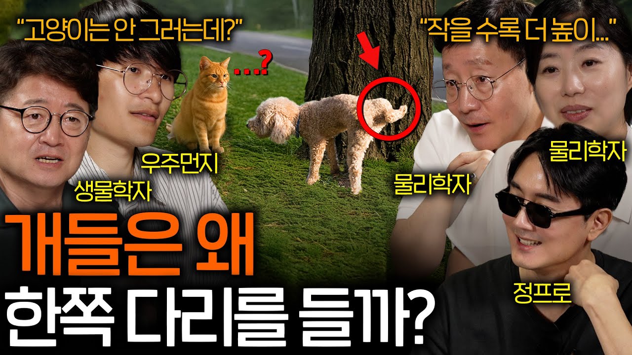 동물들의 배변 능력이 점점 진화하고 있는 이유 | 과학을 보다 EP.142