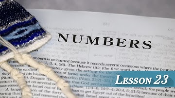 Lesson 23 - Numbers 19