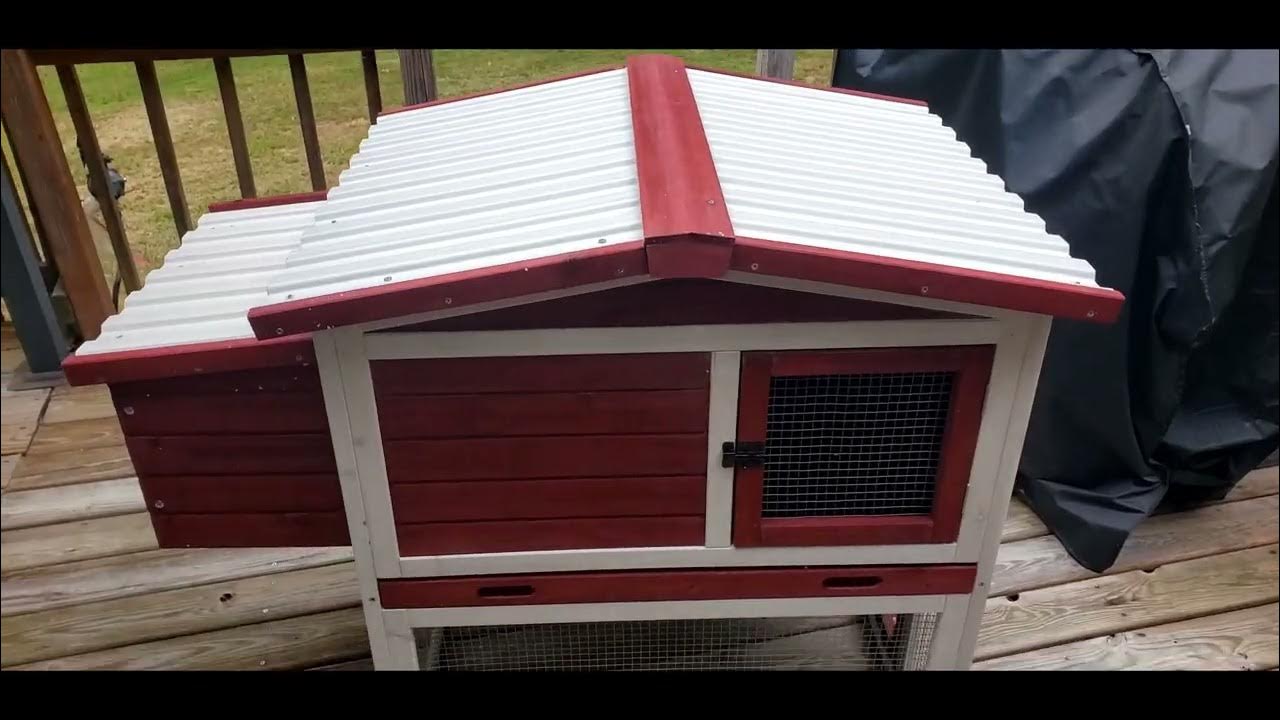 Our Chickens Are Coming Building the Frisco Chicken Coop from Chewy