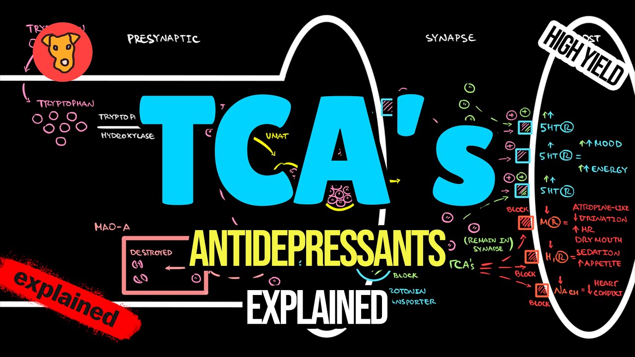 TCA s Mechanism Of Action Side Effects Tricyclic Antidepressants TCA s Mechanism Of Action Side Effects Tricyclic Antidepressants