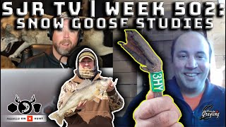 SJR TV | Week 502: Snow Goose Studies, Pool 4 Tips and More! (Full Show)