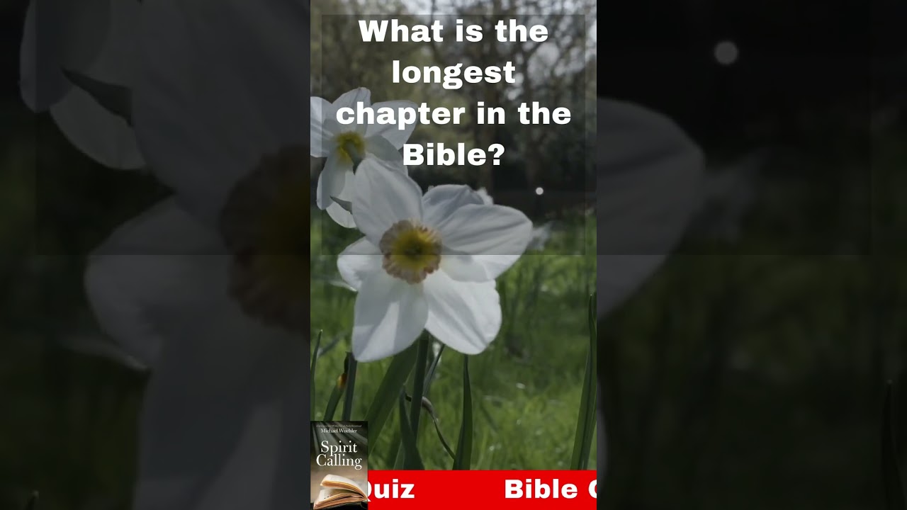 Bible Trivia Questions and Answers.  (Daily Bible Quiz)