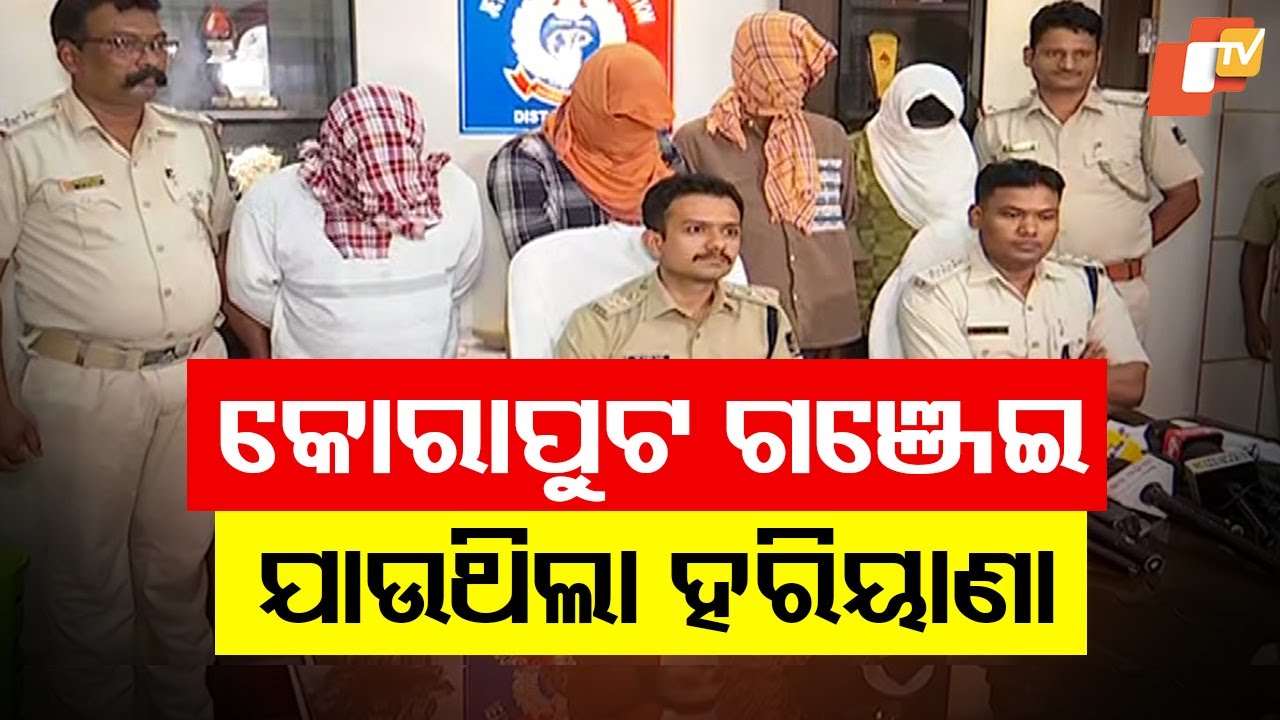 Large Ganja Consignment Seized in Koraput; En Route to Haryana via Andhra Pradesh