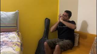 Ichak Dana Beechak Dana | Lata Mangeshkar, Mukesh | Harmonica Cover by Gautam Goswami