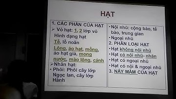 Quả và Hạt part 2 - PGS.TS Trương Thị Đẹp - Bài giảng Thực Vật Dược