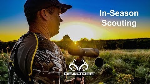 Deer Hunting: How to Scout During the Season