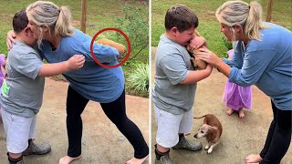 New Puppy Surprise Compilation 2024! The Best DOG Moments