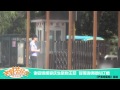 芒果捞星闻 Mango News 谢霆锋摆宴庆生献吻王菲 芒果TV官方版 