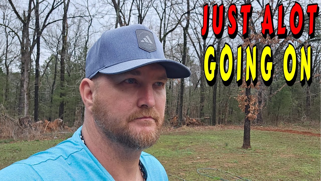 SO MUCH MOVEMENT ON THE MOUNTAIN |tiny house, homesteading, off-grid, cabin build DIY HOW TO sawmill