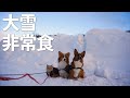 北海道の大雪は、割と深刻ですが元気です!