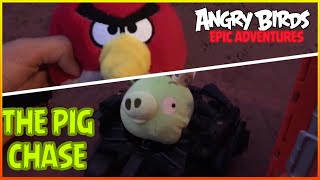 Angry birds Epic Adventures: The Pig Chase