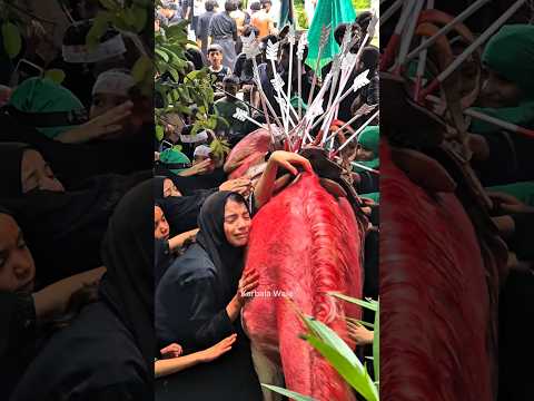 Zuljanah Wapsi Muharram2025 Imamhussain Zuljanah Karbala Muharram1447