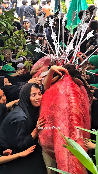 Zuljanah Wapsi #muharram2025 #imamhussain #zuljanah #karbala #muharram1447