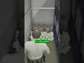 How I Made 1 MILLION DOLLARS in GTA 5!