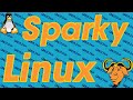 Linux для начинающих. SparkyLinux долгая загрузка после установки, настройка консольных шрифтов.