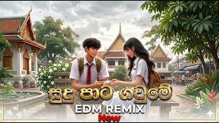 Sudu Pata Gaume (  සුදු පාට ගවුමේ    )   |   edm remix Song  |  Artists: -  Wijitha Kumara