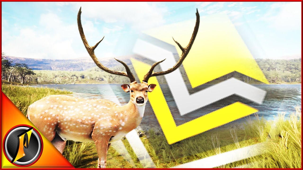 My Biggest Diamond Axis Deer... at 300m with the Airgun! YouTube