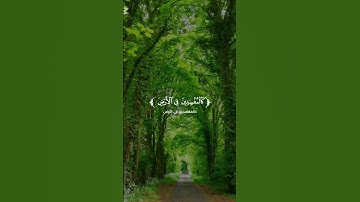 تلاوه خاشعه صلاح الباجي ♥️🎧 #تلاوة_خاشعة #اكسبلور #quran#لايك #تلاوات #viralvideo #دويتو #راحة_نفسية
