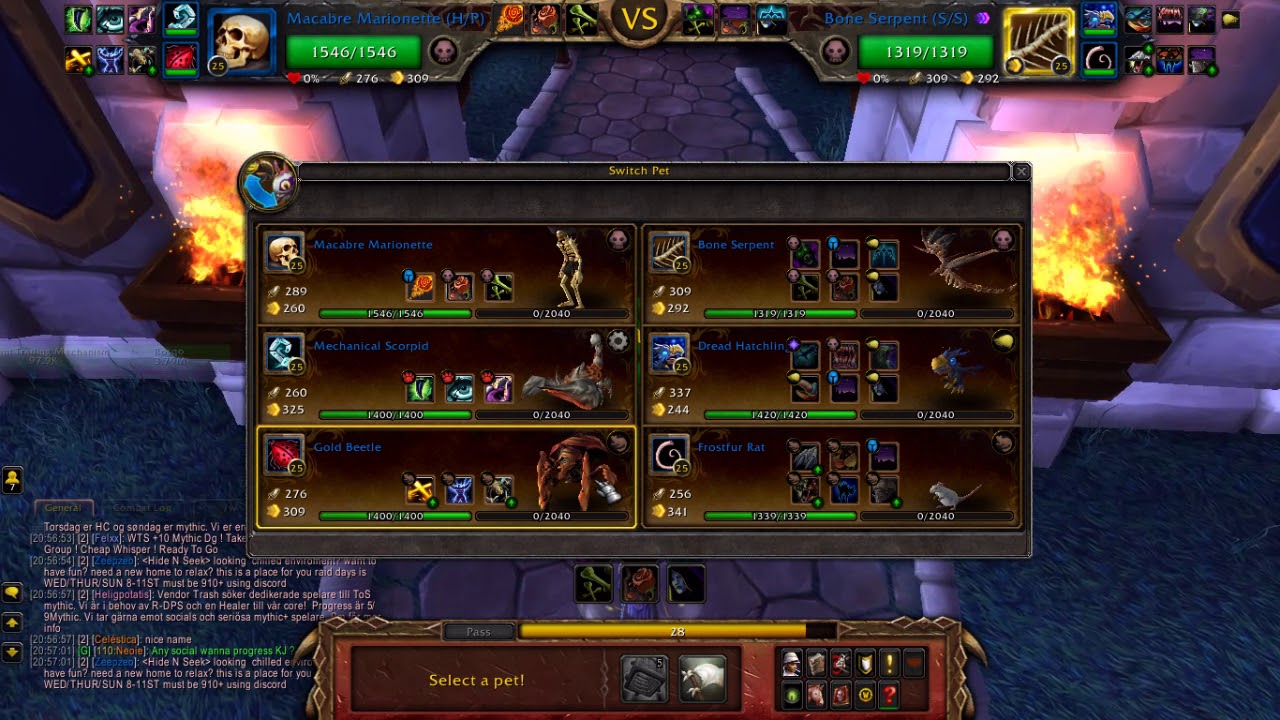 battlestar galactica PVP Pet Battles - Team: Beetle Bodies