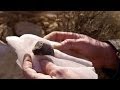 The oldest thing on the earth? - Richard Hammond Builds a Planet: Preview - BBC One