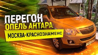 Перегон Опель Антара