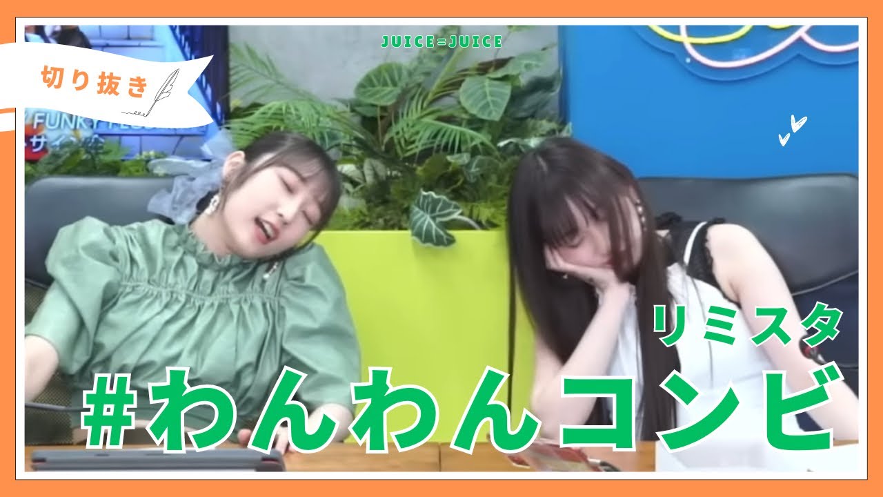 【癒し動画】大型犬の