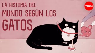 La historia del mundo según los gatos  EvaMaria Geigl